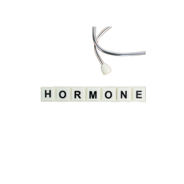 HORMONE SUPPORT