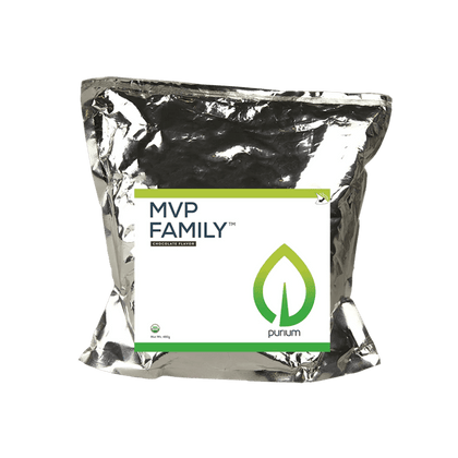Purium MVP Family Chocolate 32g Protein (Organic Pea Protein, Organic Brown Rice Protein, Organic Pumpkin Protein, and Organic Vanilla Powder) Protein Powder Muscle Building (480g)